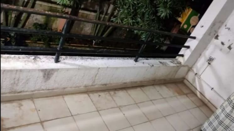 img-property