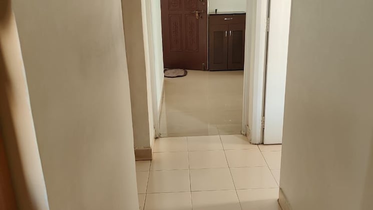 img-property