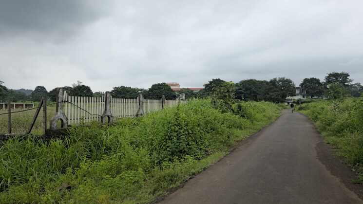 img-property
