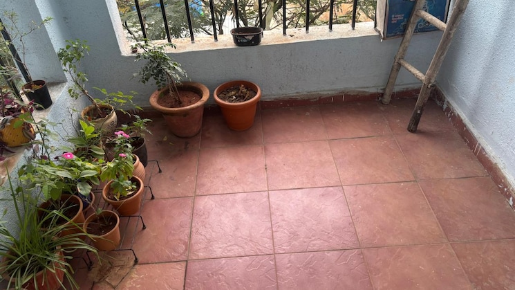 img-property