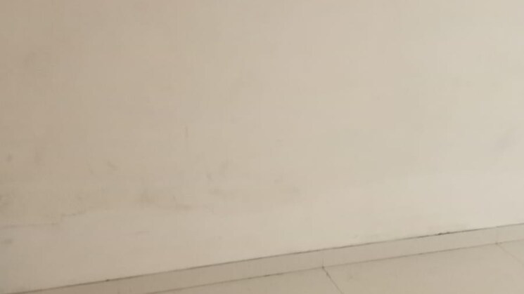 img-property