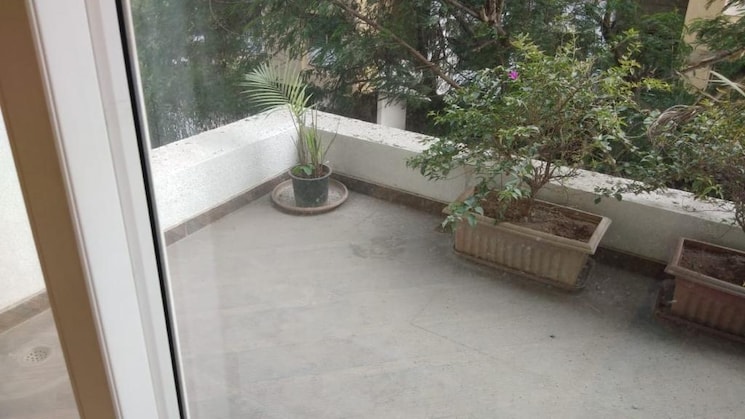 img-property