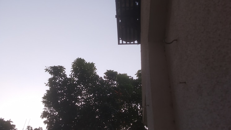img-property
