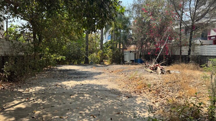img-property