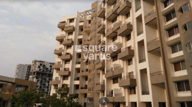 img-property