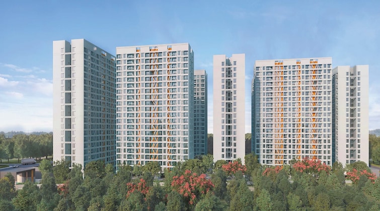 img-property